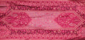 Desert Rose